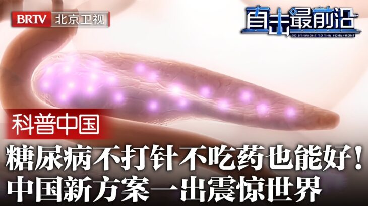 糖尿病不打针不吃药也能好！中国研制出新方案，2周唤醒核心细胞，逆转糖尿病减少心梗，结论一出震惊世界！【科普中国直击最前沿】