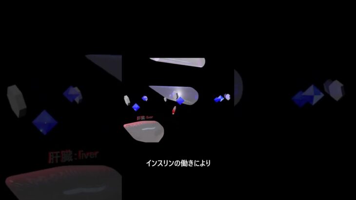 糖尿病　正常2-2　脂肪　解説あり  #shade3d #ショート #立体動画 #糖尿病 #animation