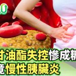 三酸甘油酯失控慘成糖尿病 腹脹竟慢性胰臟炎【健康2.0分段】@tvbshealth20  EP3153-2 20260104 #鄭凱云#許秉毅#陳皇光#李婉萍#梁惠雯#雷議宗