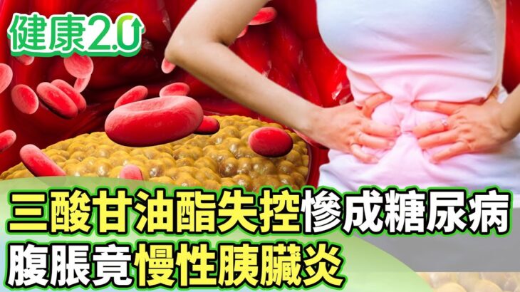 三酸甘油酯失控慘成糖尿病 腹脹竟慢性胰臟炎【健康2.0分段】@tvbshealth20  EP3153-2 20260104 #鄭凱云#許秉毅#陳皇光#李婉萍#梁惠雯#雷議宗