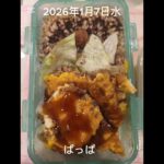 #2026/01/07/5:30#糖尿病弁当#オムレツ弁当#shorts