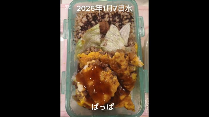 #2026/01/07/5:30#糖尿病弁当#オムレツ弁当#shorts