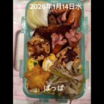 #2026/01/14/5:00#糖尿病弁当#コロッケだし巻きジュータン弁当#shorts