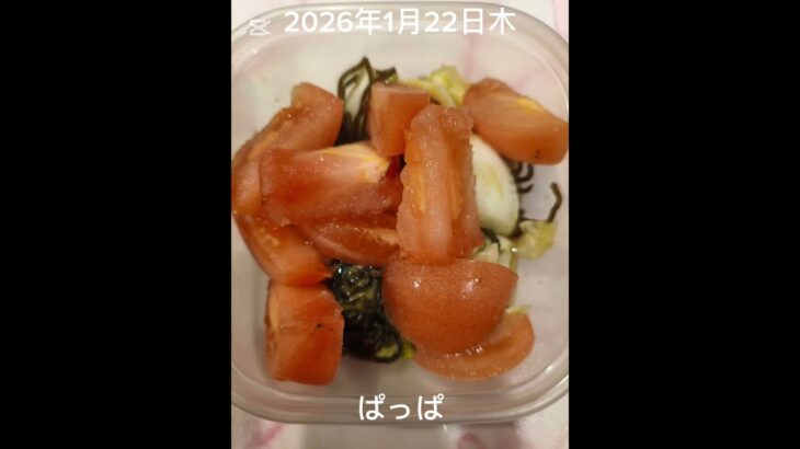 #2026/01/22/5:15#糖尿病弁当#茄子とピーマンのしょうが焼き弁当#shorts