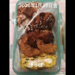 #2026/01/23/4:30#糖尿病弁当#中1弁当#カレーコロッケ&ハンバーグ弁当#shorts