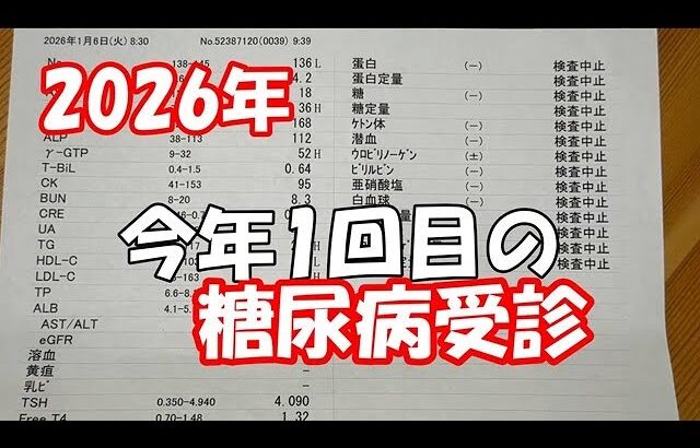【糖尿病】2026年1回目の受診結果。経過は悪い・・・でも落ち込むのはやめました