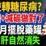 逆轉糖尿病只需2招！無糖+減碳做對了，3個月擺脫藥罐子，脂肪肝高血糖自然消失！