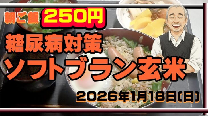 朝ご飯　250円　糖尿病対策　ソフトブラン玄米