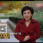 日本老人从不得糖尿病，每天万步走，血糖稳如钟！30年糖尿病彻底断根【养生妙招】#降血糖