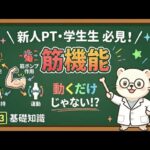 【基礎編】筋肉の5大機能と糖尿病・心不全｜なぜ筋トレが治療になるのか？