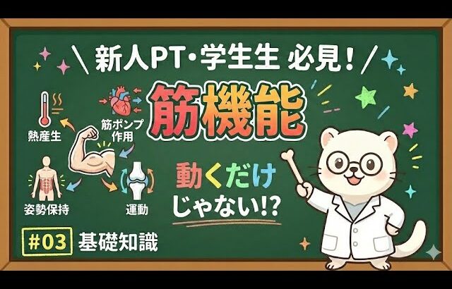 【基礎編】筋肉の5大機能と糖尿病・心不全｜なぜ筋トレが治療になるのか？