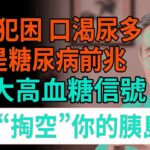 飯後犯困、口渴尿多？ 竟是糖尿病前兆！醫師警告：這6大高血糖信號，正在“掏空”你的胰島！#血糖 #糖尿病 #低血糖 #高血糖 #頤養之年