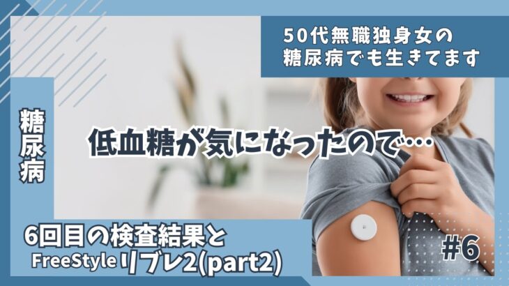 【糖尿病】6回目の検査結果とリブレ2(part2)経過記録