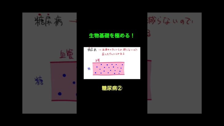 70糖尿病② #生物基礎