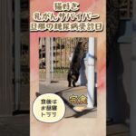 【75】旦那の糖尿病の治療経過…痩せる為の薬