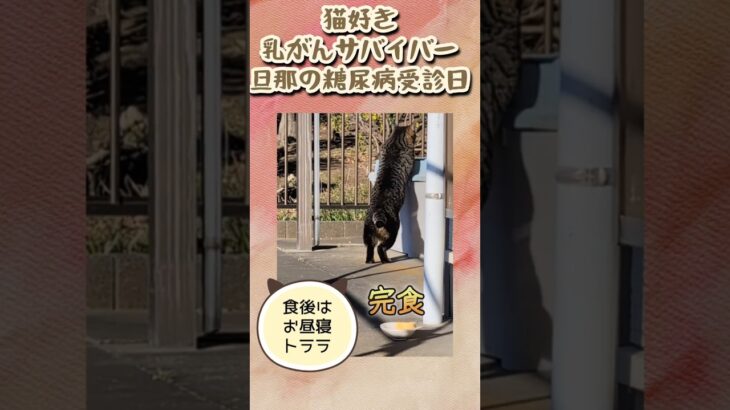 【75】旦那の糖尿病の治療経過…痩せる為の薬