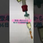 【糖尿病8年目】ケトアシドーシス入院中の血糖値記録‼️高すぎて大爆笑‼️ #糖尿病 #1型糖尿病 #2型糖尿病 #その他糖尿病 #血糖値 #高血糖 #入院 #点滴 #インスリン #病院 #病気