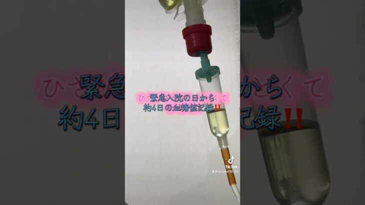 【糖尿病8年目】ケトアシドーシス入院中の血糖値記録‼️高すぎて大爆笑‼️ #糖尿病 #1型糖尿病 #2型糖尿病 #その他糖尿病 #血糖値 #高血糖 #入院 #点滴 #インスリン #病院 #病気