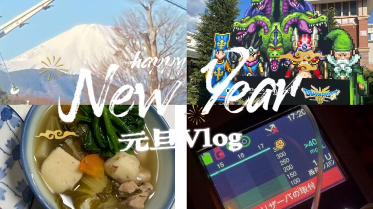 【糖尿病患者】*⸜ 診断されてから8度目の元旦Vlog🐎🎍⸝*