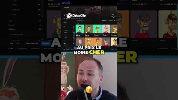 CE SINGE NFT VALAIT 3 MILLIONS $ !