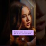 Codie breaks down how a $60M NFT became $19K. @CodieSanchezCT #shorts