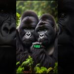 🦍¡El Rey de la Montaña llegó! al NFT💎