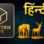 Hindi – Asia AI Metrix NFT Educational Video for Community