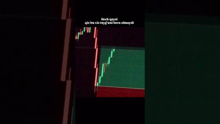 Kanalimda 2026-yilda “NFT/Kriptoda 0dan 10.000$ga 3 oyda chiqish” bo’yicha video qo’llanma bor✅