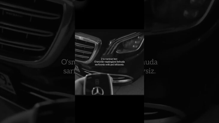 Kanalimda 2026-yilda “NFT/Kriptoda 0dan 10.000$ga 3 oyda chiqish” bo’yicha video qo’llanma bor✅