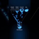 Kanalimda 2026-yilda “NFT/Kriptoda 0dan 10.000$ga 3 oyda chiqish” bo’yicha video qo’llanma bor✅