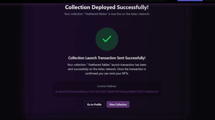 Launch Your NFT Collection with Raven House on Aztec