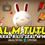 MMORPG SEAL M TUTUP ? TAPI AKAN RILIS LAGI SEAL M CROSS NFT/P2E ?