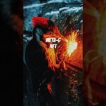 Military Gold #trending #new #nft #military #gold #metag #metaphor #genius