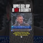 My honest opinion: Pepe massive move