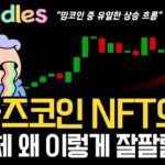 두들즈 NFT의 왕 도대체 왜 이렇게 잘 팔릴까 차트와 매집 흐름 분석 #두들즈 #두들즈분석