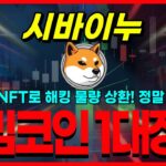 시바이누 코인 토큰화된 NFT로 해킹 물량 상환! 정말 똑똑하다! 밈코인 1대장