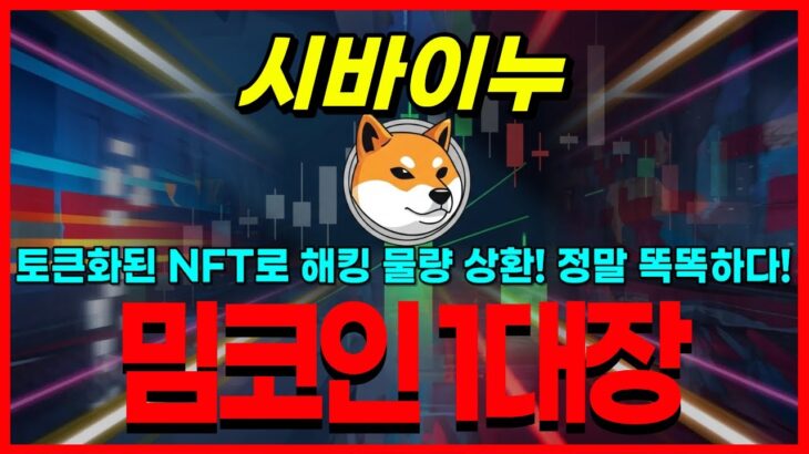 시바이누 코인 토큰화된 NFT로 해킹 물량 상환! 정말 똑똑하다! 밈코인 1대장