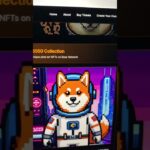NFT Collection 2026