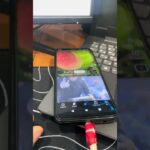 Что такое «NFT» простыми словами: зачем покупать картинку #shorts #технологии