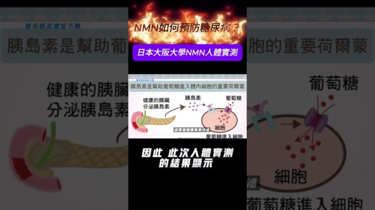NMN如何增强胰島素功能？抗糖尿病新希望！日本大阪大學人體實測！