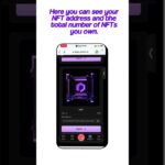 Polnet NFT কীভাবে দেখবেন ও যাচাই করবেন | Wallet ও Blockchain গাইড #polnet #blockchain #wallet #nft