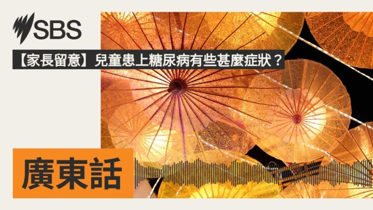【家長留意】兒童患上糖尿病有些甚麼症狀？ | SBS Cantonese – SBS廣東話節目