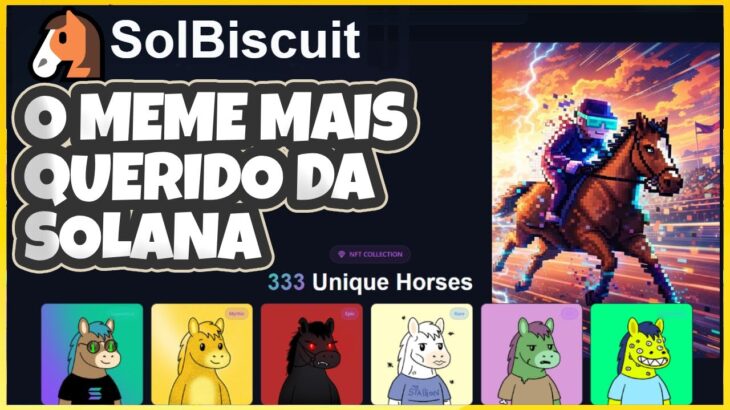 SOLBISCUIT – A MEME QUERIDINHA DA SOLANA CHEGOU E TEM ATÉ NFT
