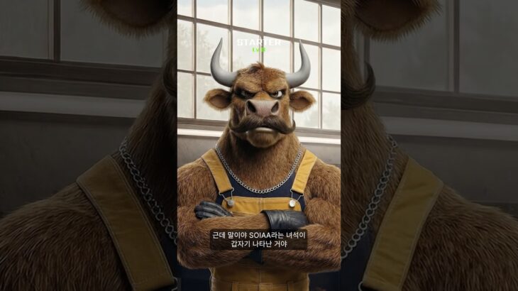 STARTER NODE of SOIAA  — NFT 가치의 출발점 🚀