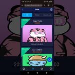 Sani NFT buy sell par day income konu Refar cara