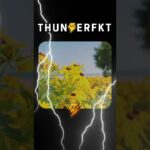 TFKT. Thank You!#TFKT #Meme #Snowboard #SK8 #Memecoin #Nft #Hood #Hoodies #Trump