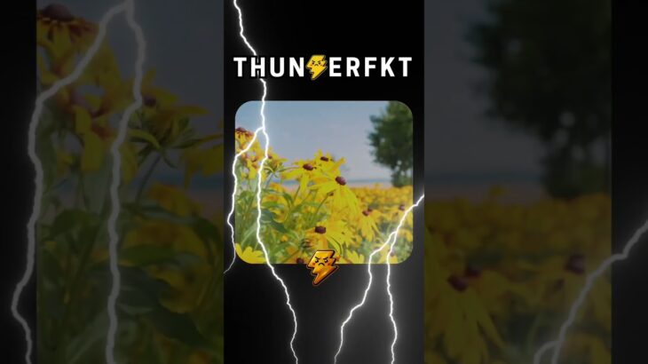 TFKT. Thank You!#TFKT #Meme #Snowboard #SK8 #Memecoin #Nft #Hood #Hoodies #Trump