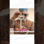 🔑 TON MASON – ТВОЙ КЛЮЧ КО ВСЕМ ДВЕРЯМ #tonmason #nft #ии #gamefi#минск #беларусь