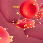 第２型糖尿病健康生活指南：實用技巧與純素生活方式的力量｜…Type 2 Diabetes: Practical Tips and the Power of a Vegan Lifestyle