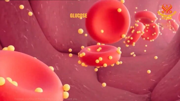 第２型糖尿病健康生活指南：實用技巧與純素生活方式的力量｜…Type 2 Diabetes: Practical Tips and the Power of a Vegan Lifestyle